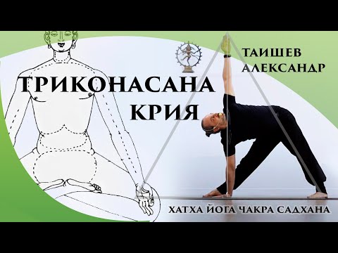 Видео: Триконасна Крия | Практика йоги | Видеоурок | Хатха Йога Чакра Садхана | Александр Таишев
