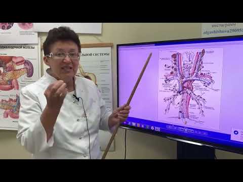 Видео: Методы самопомощи для борьбы с ростом кист в щитовидной железе.[Шишова О.И.]