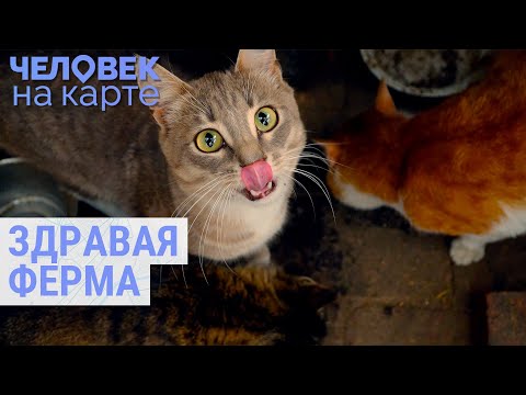 Видео: Сельское хозяйство по эко-стандартам | ЧЕЛОВЕК НА КАРТЕ