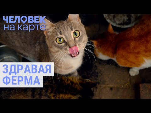 Видео: Сельское хозяйство по эко-стандартам | ЧЕЛОВЕК НА КАРТЕ