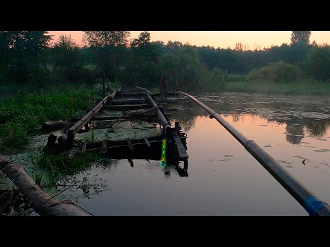 Видео: Рыбалка на поплавок у старинного заброшенного моста  !