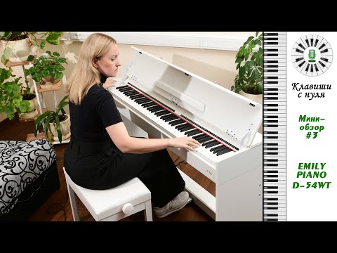 Видео: Клавиши с нуля - Мини обзор 3 -  EMILY PIANO D-54 WT