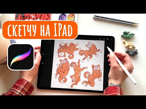 Видео: Скетчу пёселей на IPad в Procreate | Болтаю про вдохновляющие мульты, композицию и собак