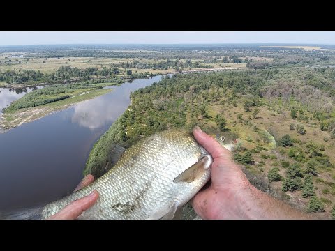 Видео: Десна с. Крехаев Семейная рыбалка, шашлык в рыбном месте