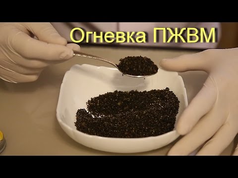 Видео: Настойка огневки пчелиной на ПЖВМ .