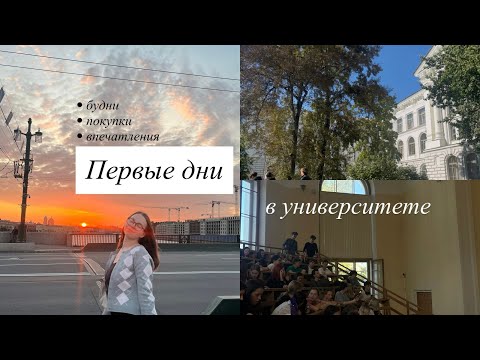 Видео: первая неделя учебы в политехе | первый курс менеджмента 
