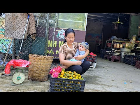 Видео: Собираю урожай красных и розовых драконовых фруктов на продажу — покупаю новую одежду для помады