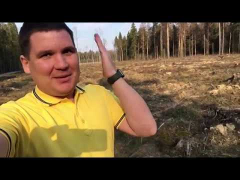 Видео: КАК РАСЧИСТИТЬ ЛЕС ? СОВЕТЫ ДЛЯ НАЧИНАЮЩИХ