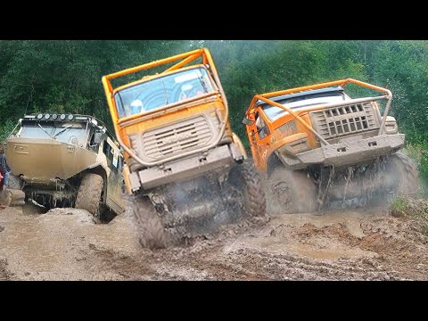 Видео: БЕШЕНАЯ гонка ГРУЗОВИКОВ и ВНЕДОРОЖНИКОВ на бездорожье