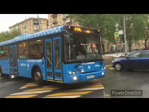 Видео: Автобусы Москвы