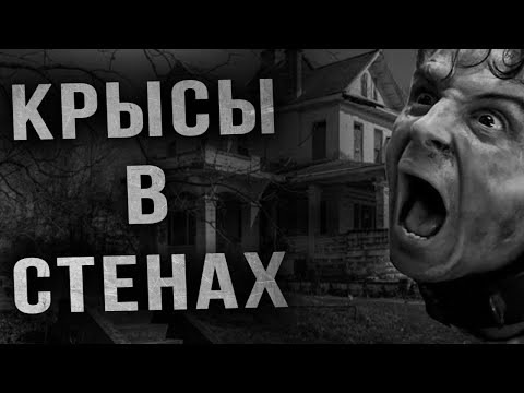 Видео: Страшные истории. КРЫСЫ В СТЕНАХ. Страшные истории на ночь. Мистика. Ужасы