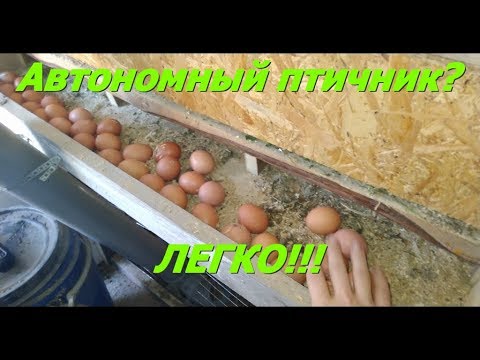 Видео: Автономный курятник. Жизнь на даче