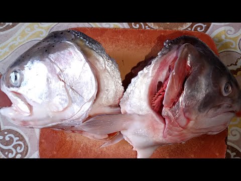 Видео: РИБНИЙ  ДЕНЬ  , СЬОГОДНІ  В НАС ! ХОЛОДЕЦЬ МИ ВАРИМ  В ЧАС  !...