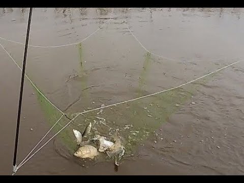 Видео: рыбалка на паук подъёмник на небольших реках