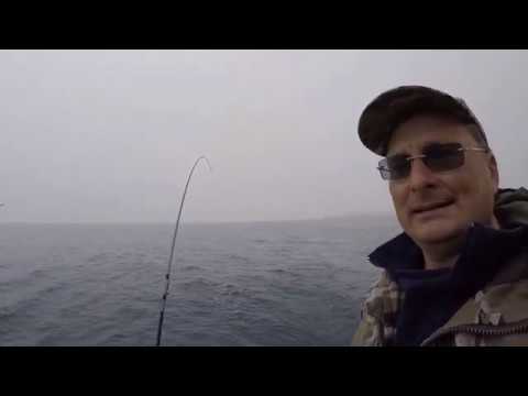 Видео: Троллинг симы в Уссурийском заливе