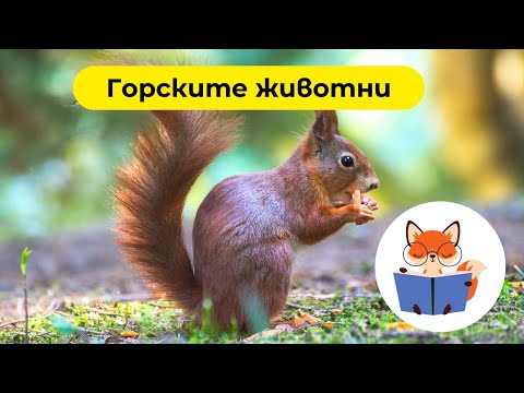Видео: Забавно Приключение с Горски Животни за Деца 🌲🦊 | Научете горските животни с Умната лисичка