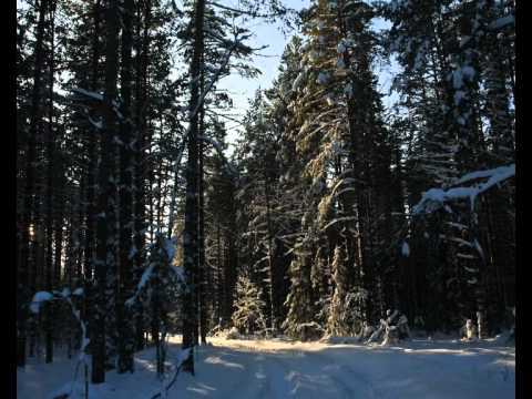 Видео: На волне Ветлуги. Серия 1