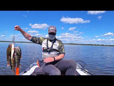 Видео: Потрясающая рыбалка: Ловля окуня на спиннинг.Витебская область