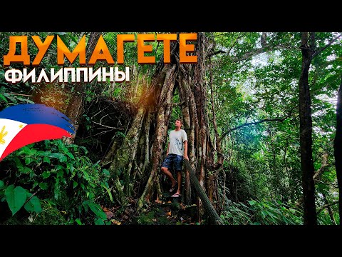 Видео: Филиппины. Думагете, остров Негрос. Заповедник Балинсасейао Твин Лейкс