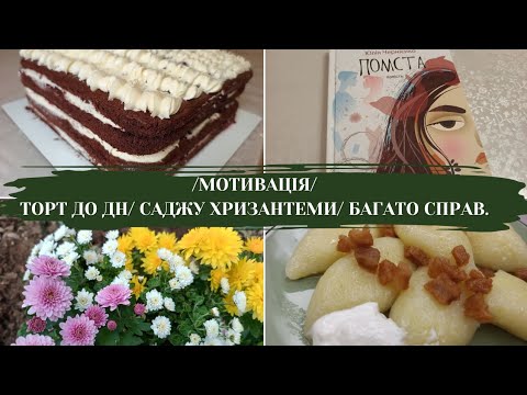 Видео: МОТИВАЦІЯ/ Торт до дня народження/ Саджу хризантеми/Вікна,як на звалищі.