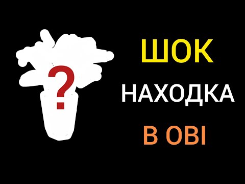 Видео: НАШЛА РЕДКИЙ замиокулькас в ОБИ | 5 СОРТОВ | Обзор растений