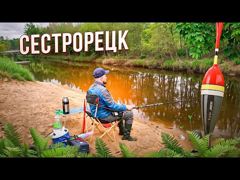 Видео: Ловля плотвы на поплавок поздней весной. Рыбалка 2025 в Сестрорецке. Рыбалка на городских реках