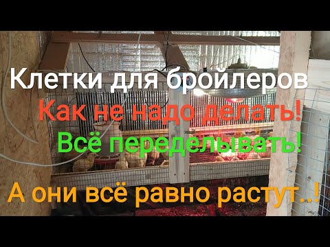 Видео: Клетки для бройлеров. Как не надо делать! А они всё равно растут..!