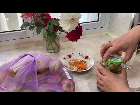 Видео:   КОВОКЛИ ОВКАТ УСТИДА ОЛМАСИ БИЛАН 😊🍁🍂