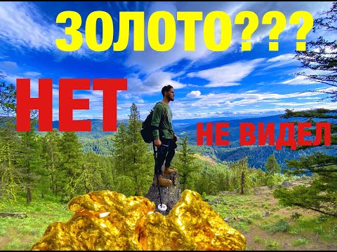 Видео: В поиске золотых самородков с помощью металлоискателя В горах США