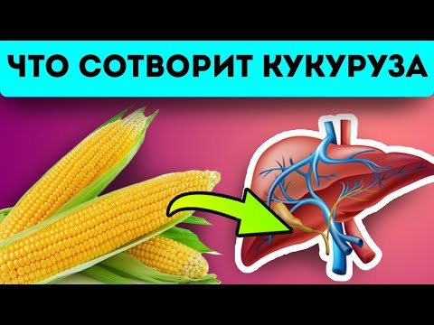 Видео: 95% не догадываются что кукуруза может…