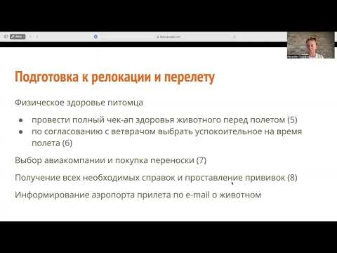 Видео: Переезд с кошками на Кипр. Всё, что нужно знать для перевозки животных