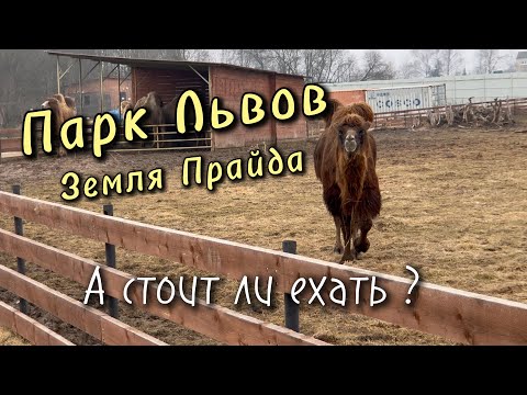 Видео: Парк львов «ЗЕМЛЯ ПРАЙДА» - Парк с большой буквы !