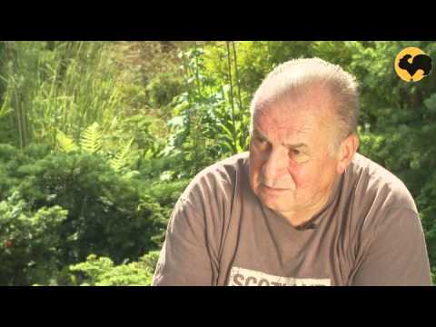 Видео: Минимализм. Ландшафтные хитрости 85