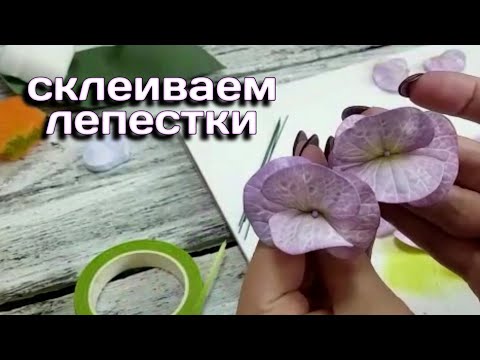 Видео: Гортензия из фоамирана часть 3 - делаем цветок
