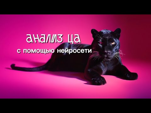 Видео: Анализ ЦА с помощью CHATGPT