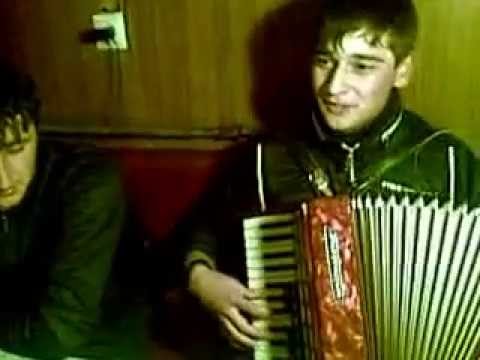 Видео: Усиша