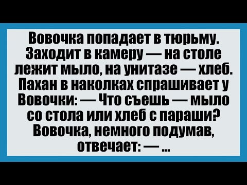 Видео: Вовочка попадает в тюрьму - Смешные анекдоты