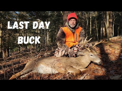 Видео: Последний день охоты на общественные земли | Сезон стрельбы из винтовки 2024 в Пенсильвании