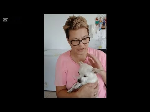 Видео: утро / кофе ☕️