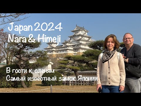 Видео: JAPAN Nara & Himeji ЯПОНИЯ Нара & Химеджи vlog-4 2024