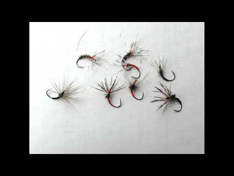 Видео: Кебари бывают разные Фильм #3 2021год