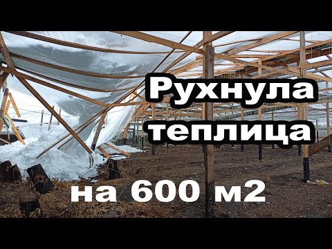 Видео: Обрушение теплицы  на 600 м2