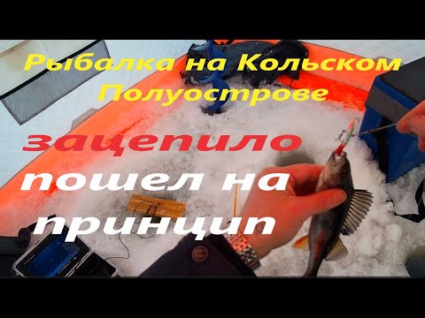 Видео: Рыбалка на Кольском Полуострове. Рыбалка на трех озерах.