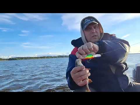 Видео: Rannapungerja. День Второй .