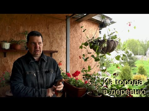 Видео: Ответы на эти вопросы облегчат Вам жизнь в деревне