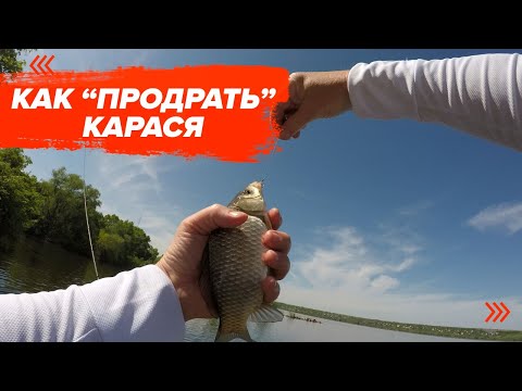 Видео: ЛОВЛЯ КАРАСЯ НА ФЛЭТ В ТРАВЕ