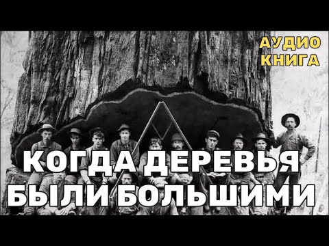 Видео: Великаны, исчезнувшие навсегда. Загадка, которую скрывают леса.