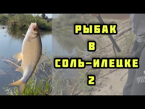 Видео: Рыбалка в Соль-Илецке Оренбургской области 2022