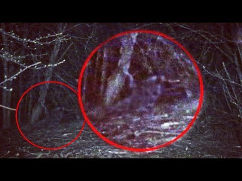 Видео: РЕАЛЬНЫЙ ПРИЗРАК Раскрыта тайна страшного леса THIS PHOTO IS A REAL GHOST