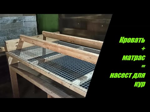 Видео: Насест для куриц. В ход идет всё , даже старая кровать.